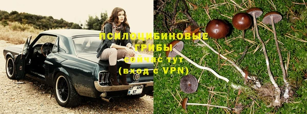 тгк Волосово